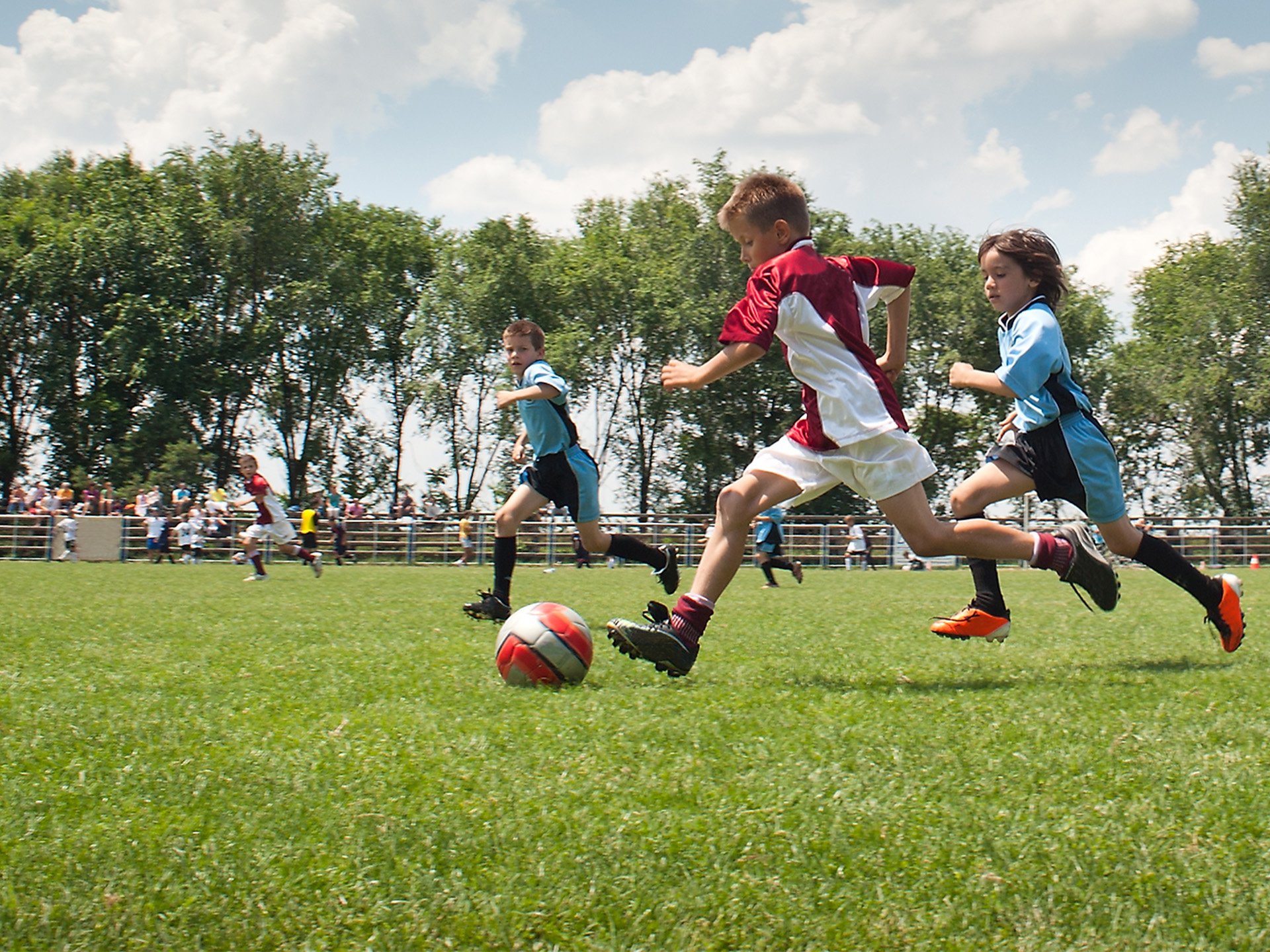 Segment Sport Facilities