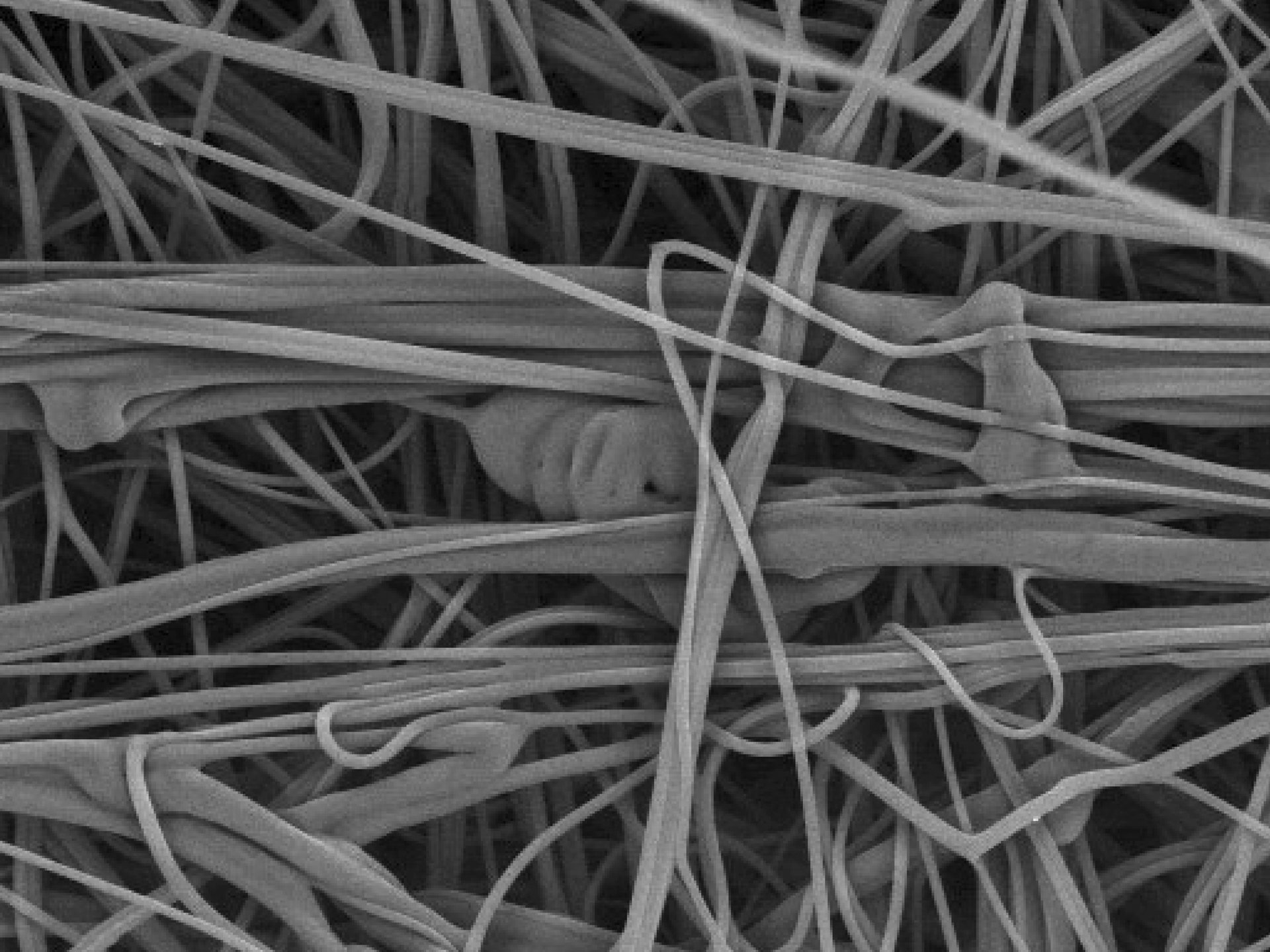 meltblown microscope