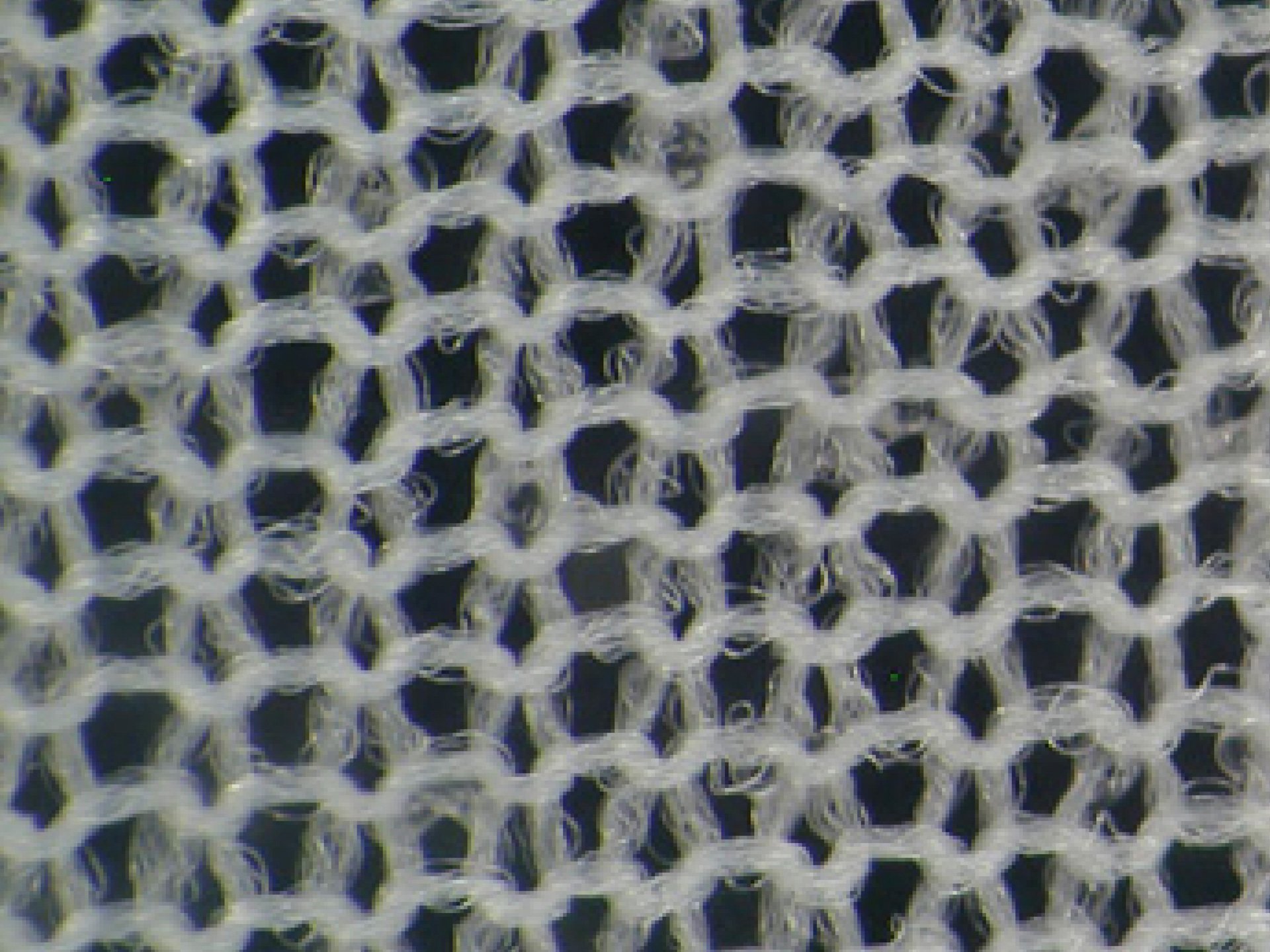 wefts circular knitwear