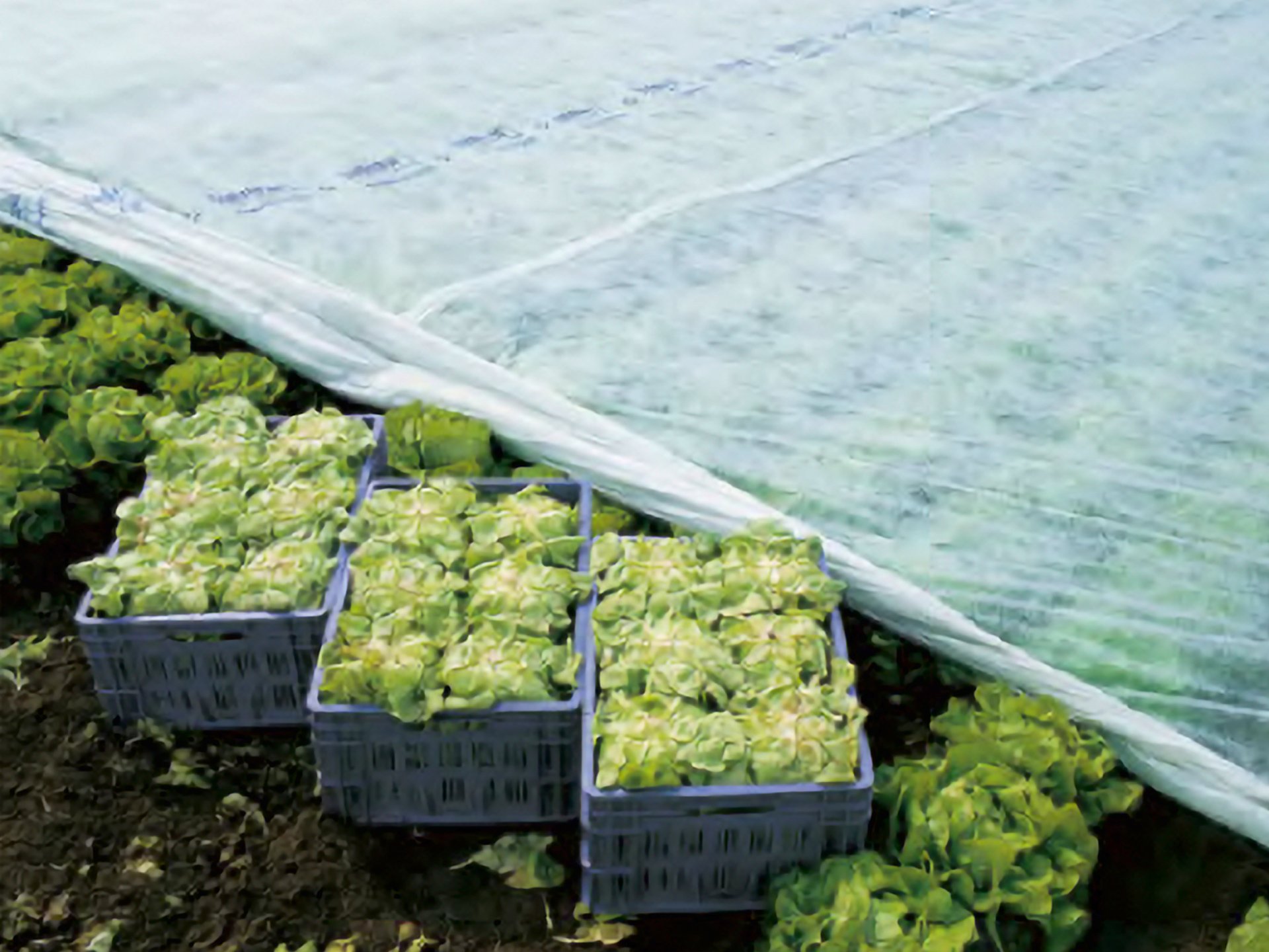 innovations historyslider 1970 spunlaid production